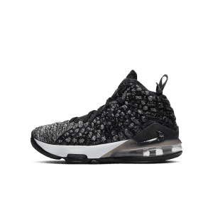 nike-lebron-17 BQ5594-002