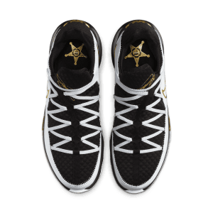 nike-lebron-17 CD5007-101