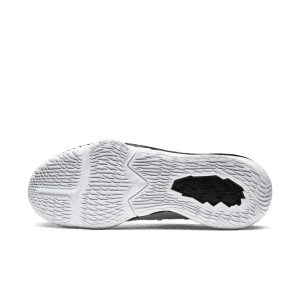 nike-lebron-17 CD5007-101
