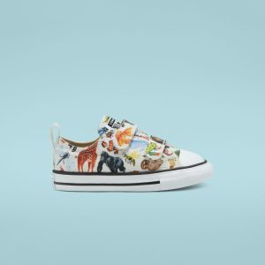 Converse Toddler Science Class Easy-On Chuck Taylor All Star Low Top White/black/white (768463C)