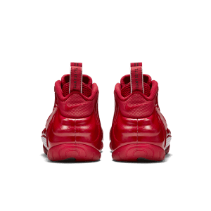 nike-air-foamposite 624041-603