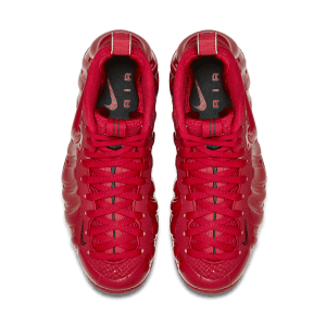 nike-air-foamposite 624041-603