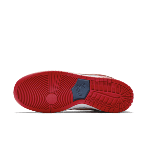 nike-dunk-sb 304292-610