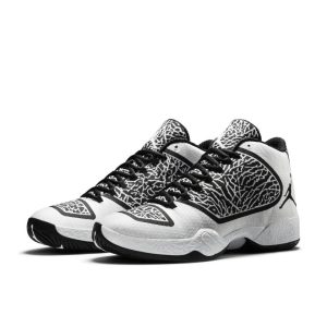 air-jordan-29 695515-070