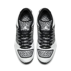 air-jordan-29 695515-070