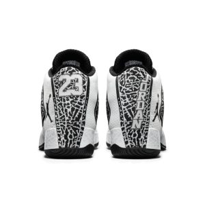 air-jordan-29 695515-070