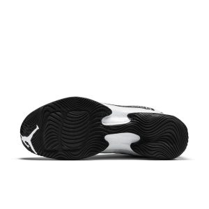 air-jordan-29 695515-070