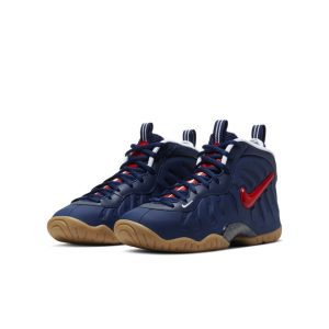 nike-little-posite-pro 644792-405