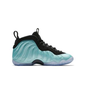 nike-little-posite-pro 644792-303