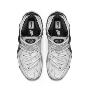nike-lebron-12 806951-100