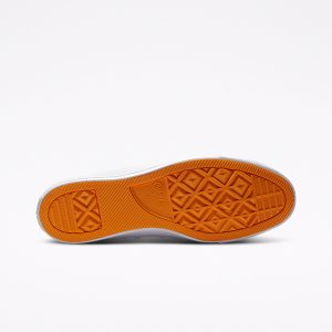 converse-chuck-taylor-all-star 169115C