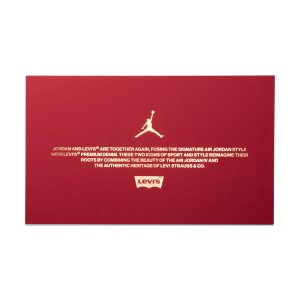 air-jordan-4 AO2571-401