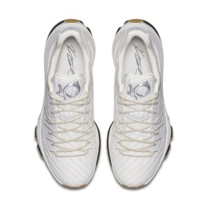 nike-kd-8 806393-100
