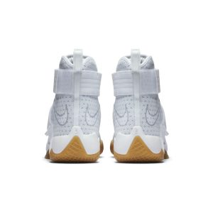nike-lebron 844378-101