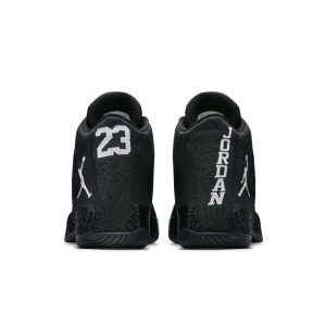 air-jordan-29 695515-010