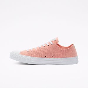 converse-chuck-taylor-all-star 170872C