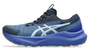 asics-gt-2000-2 1012B901-400