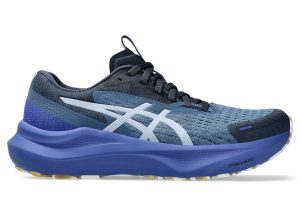 asics-gt-2000-2 1012B901-400