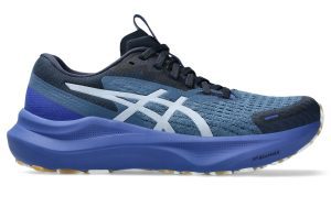 ASICS GT-2000 14 Lite Show Dark Cobalt (1012B901-400)