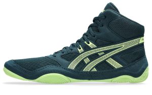 asics-snapdown 1081A058-301