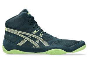 asics-snapdown 1081A058-301