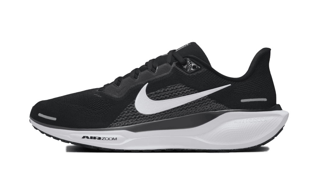 nike-air-pegasus FD2722-002