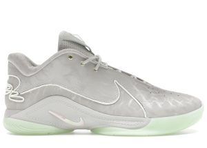 Nike LeBron 22 Dunkman (Translucent Outsole) (FZ1094-002)