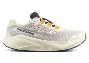 Salomon Aero Blaze 3 GRVL Gore-Tex Vanilla Ice Astral Aura (L47953200)