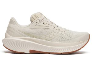 saucony-echelon-10 S11044-102