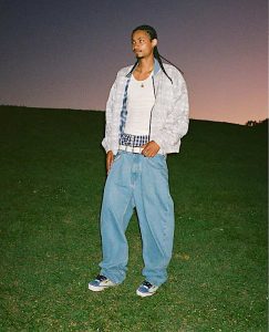 vans-old-skool VN000Y1CHAY