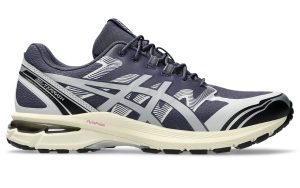 ASICS Gel-Terrain Indigo Fog Pure Silver (1203A342-501)