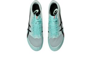 asics-metaspeed 1093A207-400