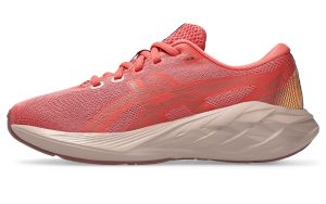 asics-novablast 1014A367-700