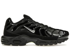 Nike Air Max Plus Black Chrome (FJ2591-001)