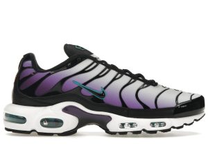 Nike Air Max Plus Reverse Grape (FQ2415-500)