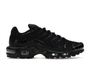 Nike Air Max Plus Triple Black (DM2362-002)