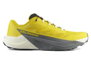 Salomon Pulsar Incaberry Sedona Sage (L47973200)