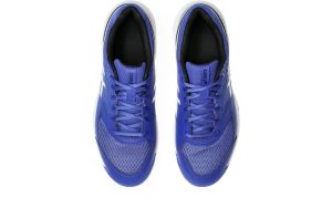 asics-gel-dedicate-8 1041A408-402