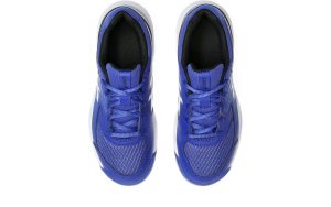 asics-gel-dedicate-8 1044A077-403