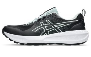 asics-gel-sonoma 1011B979-001