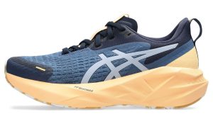 asics-novablast 1012B910-400