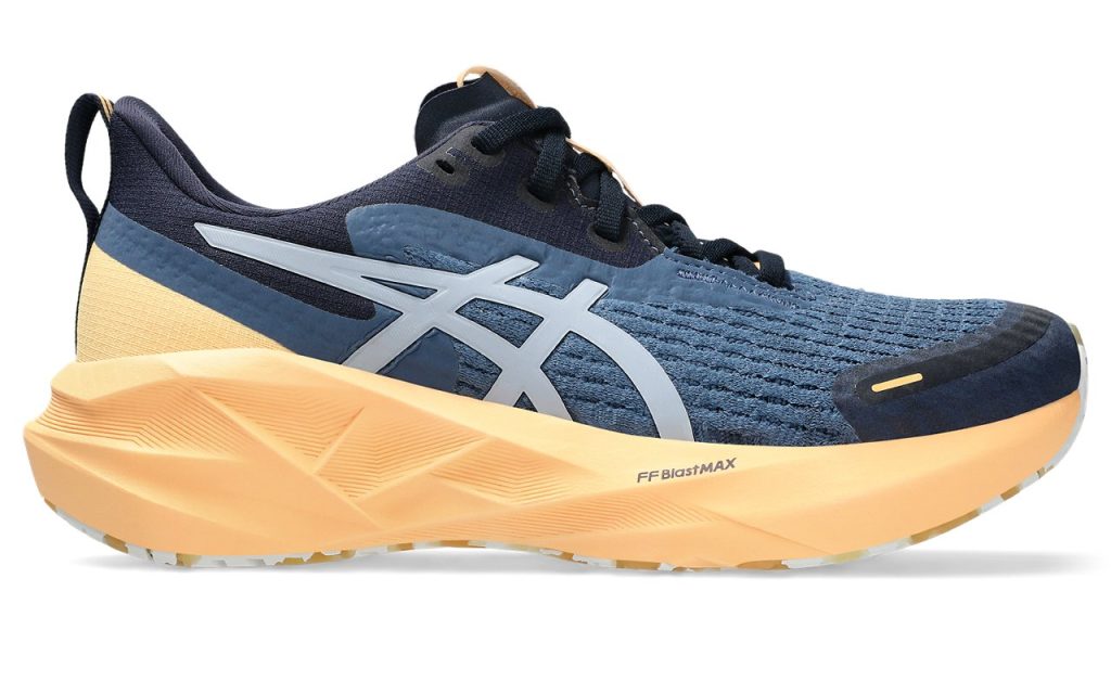 asics-novablast 1012B910-400