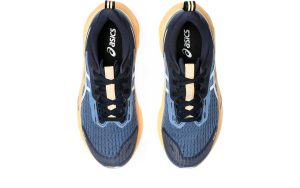 asics-novablast 1012B910-400