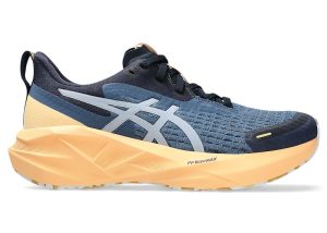 asics-novablast 1012B910-400