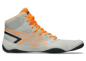 asics-snapdown 1081A058-300