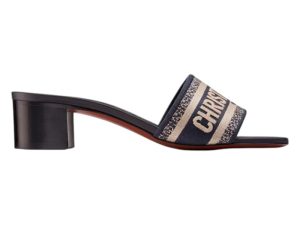 Dior Dway Slide Slippers Blue Black (KCQ244ERC_S56B)