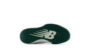 new-balance-fresh-foam-x-ct-rally WCHRALB1