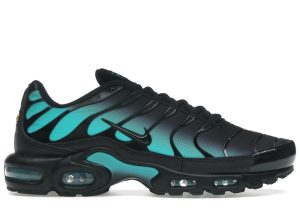 Nike Air Max Plus Black Dusty Cactus (DM0032-016)
