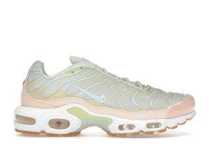 Nike Air Max Plus Crimson Tint (DZ3671-800)