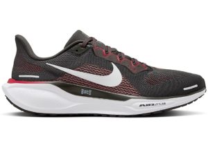 Nike Air Zoom Pegasus 41 Tampa Bay Buccaneers (FZ5076-200)